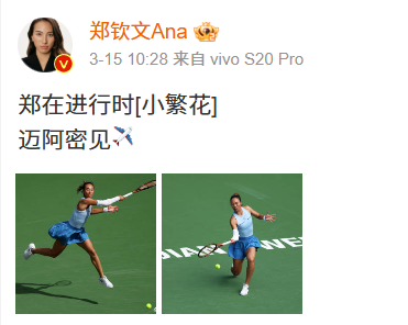 郑钦文WTA1000迈阿密